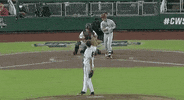 Baseball College GIF by NCAA Championships