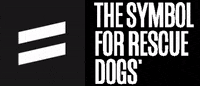 bestlifeleashes puppy dogs adopt puppylove GIF