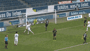 Happy Celebration GIF by MolaTV