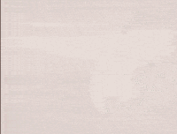 Battle Beat Up GIF by Pokémon