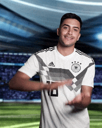 sportschau sticker germany uefa deutschland GIF