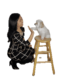 High Five Real Estate Sticker by Sluss Realty