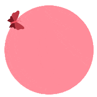 Cosmetics Sticker by PAC
