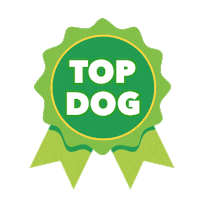 Proud Small Business Sticker by QuickBooks