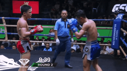 Muay Thai GIF