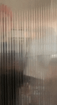 sixsocksstudio  GIF