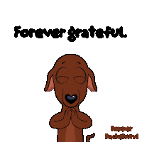 Dog Thank You Sticker by VeeFriends