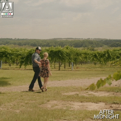 In Love Couple GIF by Arrow Video