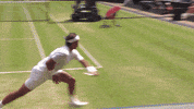 london sport GIF by Wimbledon