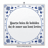Humor Nl GIF by Tegelspreuken.nl