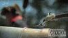 4Th Of July Boom GIF by PBS