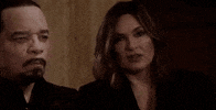 Law And Order Ugh GIF by Wolf Entertainment