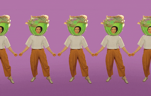 lettuce head dance GIF by Salad for President