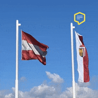 Austria Risk GIF by Linz News