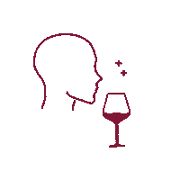 adrienboutin degustation ccvh degustation ccvh drinking wines Sticker