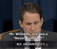 news impeachment inquiry jennifer williams jim himes GIF