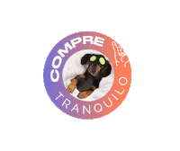 Garantia Seminovo Sticker by Karvi