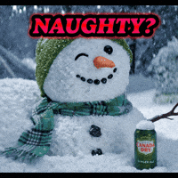 Sponsored gif. A snowman in a green hat and scarf with a can of Canada Dry ginger ale. The snowman winks, and then its face transitions to a smile as snow falls on its head. Tex: "Naughty? or Nice"