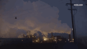 viceland GIF by Payday