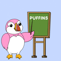 Learn Back To School GIF by Puffins