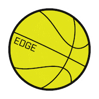 EdgeSpray sports basketball nba ball Sticker