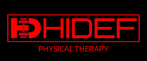 hidefpt giphygifmaker hd hidef zach smith GIF