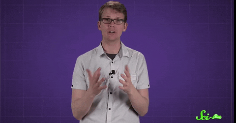 GIF by The Shorty Awards 