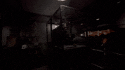 Scared Universal Studios GIF