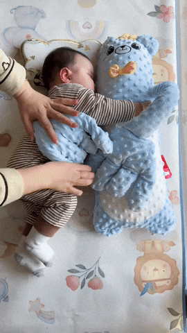 TPTC giphyupload GIF