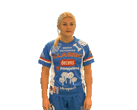 Floorball Salibandy Sticker by F-liiga