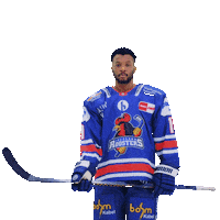 Happy Sport Sticker by Iserlohn Roosters