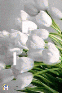 Para Ti Amigos GIF by Murcianys LLC