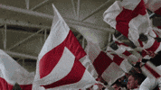 Football Flags GIF by LKS Lodz
