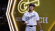 Georgia Tech Baseball GIF by Georgia Tech Yellow Jackets