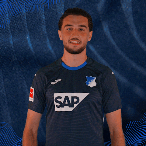 Sport Bundesliga GIF by TSG Hoffenheim