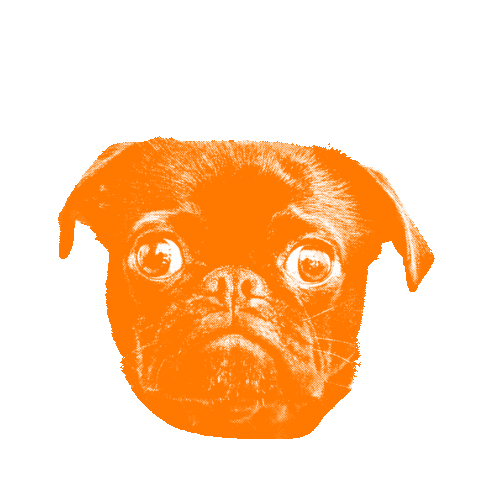 dog wow Sticker by pulsmacher