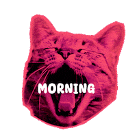 Cat Love Sticker by Seorang Zaki