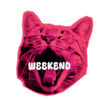 Cat Love Sticker by Seorang Zaki