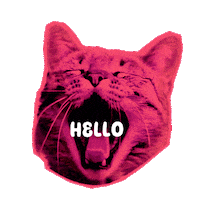 Cat Love Sticker by Seorang Zaki
