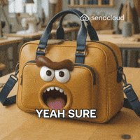Yeah Sure GIF by Sendcloud