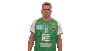 Handball-Bundesliga What Sticker by LIQUI MOLY HBL