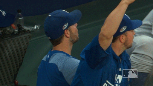 los angeles dodgers sport GIF by MLB