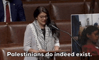 Rashida Tlaib Palestine GIF by GIPHY News