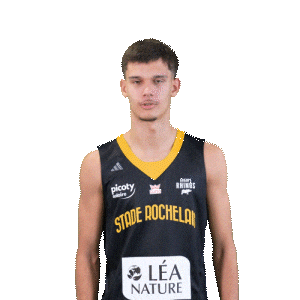 Basket Sticker by Stade Rochelais