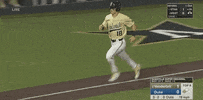 college baseball sport GIF by NCAA Championships