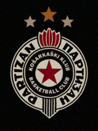 Ottoman Empire Galatasaray GIF