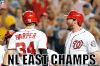 GIF by FOX Sports: Watch. Enjoy. Repeat.