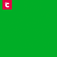 Happy Birthday GIF by Chumba Casino
