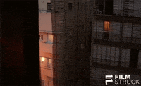 chantal akerman window GIF by FilmStruck