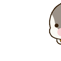 Katercat cat run kat kater Sticker
